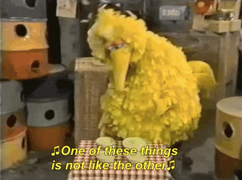 big bird gif